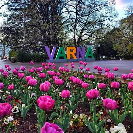 ホテル Brilliance ヴァルナ