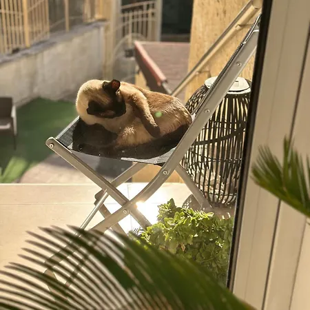 Brilliance ホテル