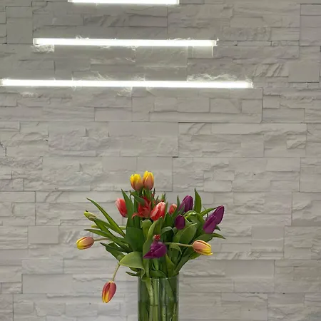 فندق Brilliance فارنا